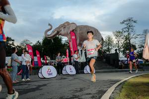 BIB: 
                            <button type="button" onclick="openModal(26529403)" class="btn btn-primary btn-sm float-right btn-popup" data-toggle="modal" data-target=".modal-high-quality">
                        <i class="fas fa-shopping-cart"></i> Add to Cart
                    </button>
                                            <button type="button" onclick="isThisMe(26529403, true)" class="btn btn-success btn-sm float-right btn-popup btn-isme hidden" data-toggle="tooltip" data-placement="bottom" title="นี่คือรูปของคุณใช่ไหม คลิกที่นี่เพื่อเอาเข้าอัลบั้ม">
                        <i class="fas fa-plus"></i> Add to album
                    </button>
                    <button type="button" onclick="isThisMe(26529403, false)" class="btn btn-warning btn-sm float-right btn-popup btn-isnotme hidden">
                        <i class="fas fa-ban"></i> Remove from album
                    </button>